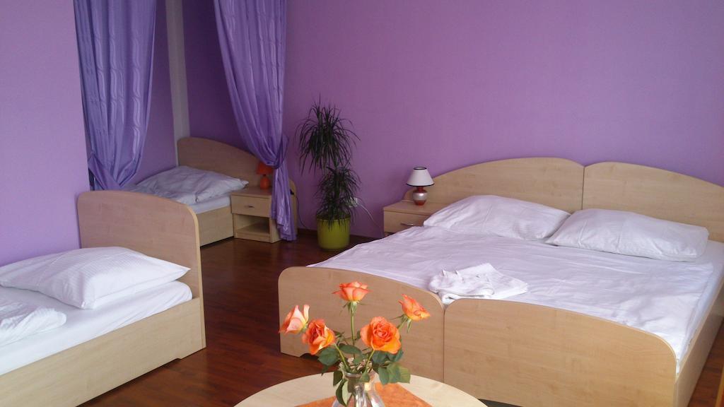 Hotel & Motorest V Udoli Zlateho Potoka Blsany Kamer foto